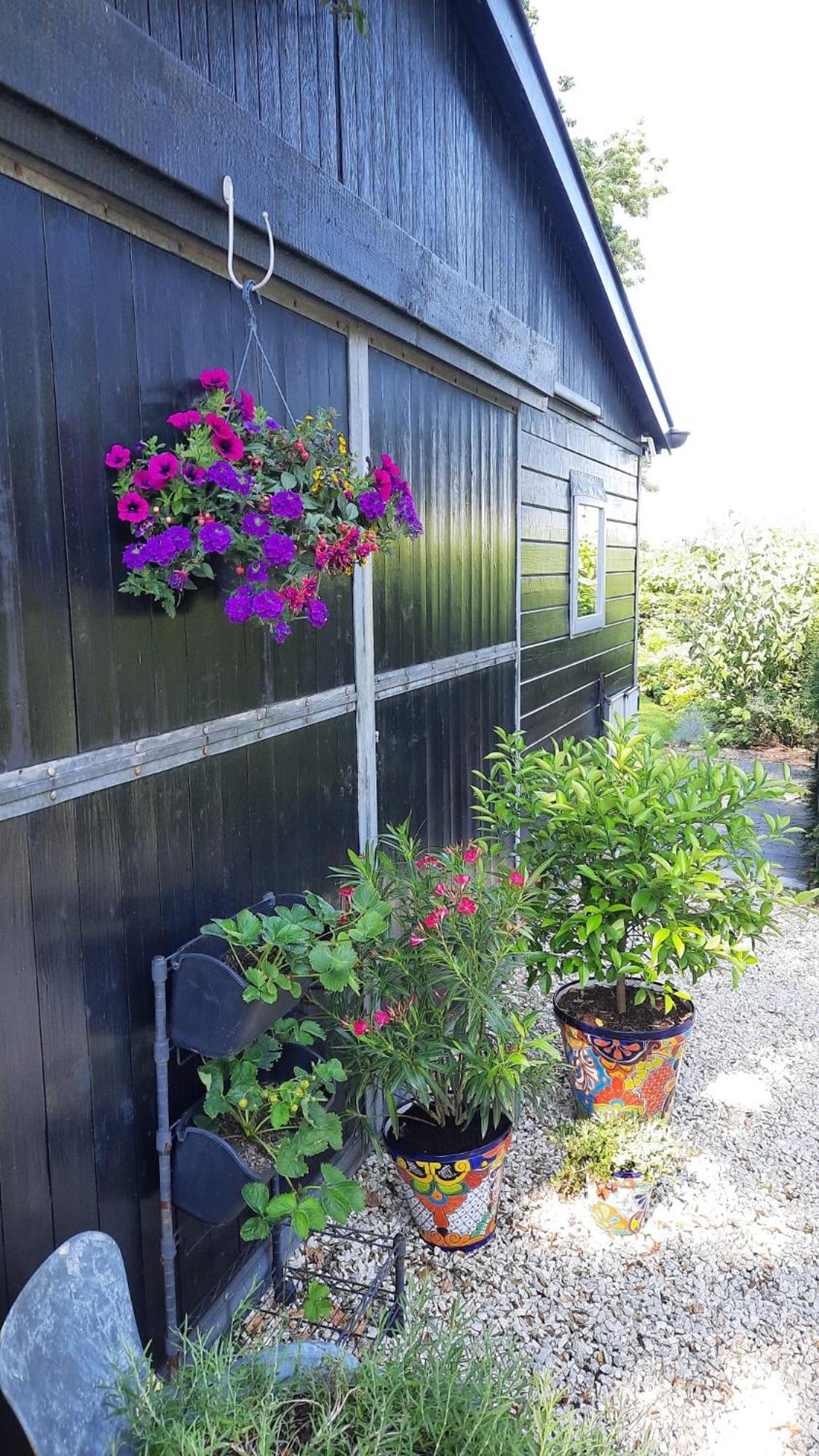 Vakantiehuis Onder De Peppel Met Sauna En Jacuzzi Wijk en Aalburg 外观 照片